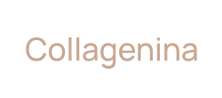 Collagenina